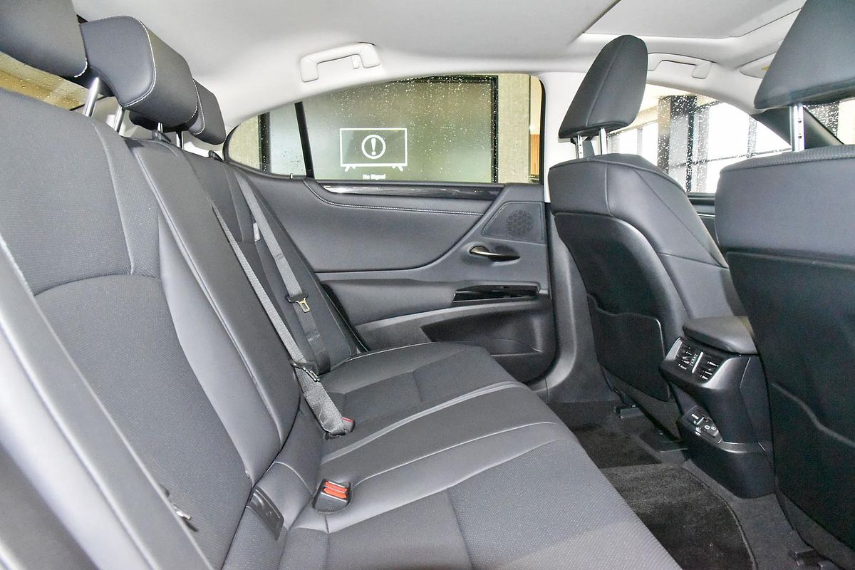 2022 Lexus ES ES250 Luxury AXZA10R