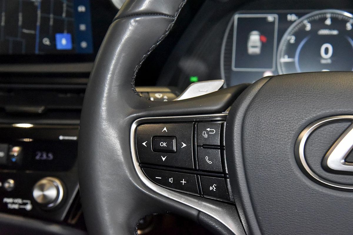 2022 Lexus ES ES250 Luxury AXZA10R