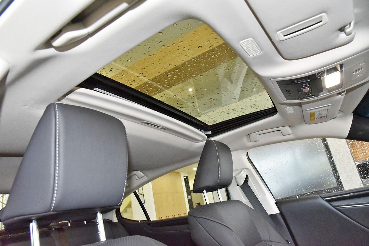 2022 Lexus ES ES250 Luxury AXZA10R