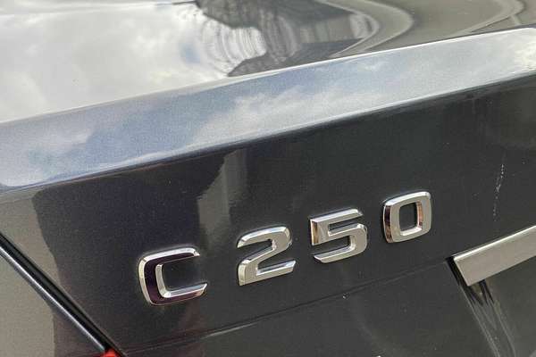 2014 Mercedes-Benz C-Class C250 CDI C204
