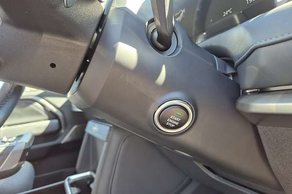 2025 LDV Terron 9 Origin EKK1C 4X4