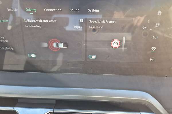 2025 LDV Terron 9 Origin EKK1C 4X4