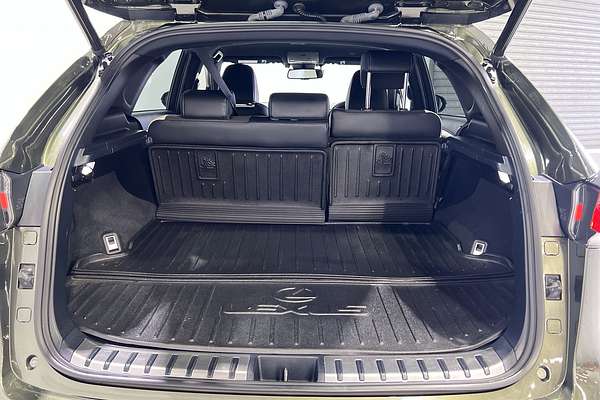 2021 Lexus NX NX300 F Sport AGZ10R