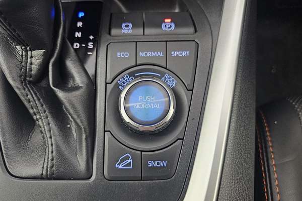 2021 Toyota RAV4 Edge AXAA54R