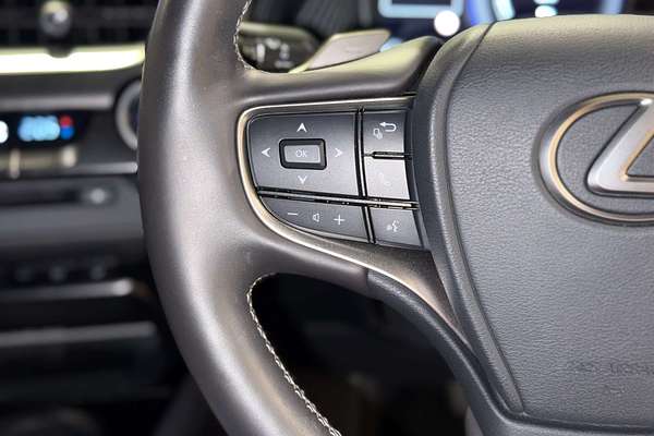 2022 Lexus UX UX300e Sports Luxury KMA10R