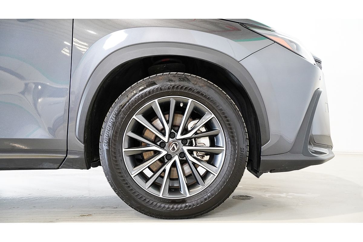 2023 Lexus NX NX250 AAZA20R