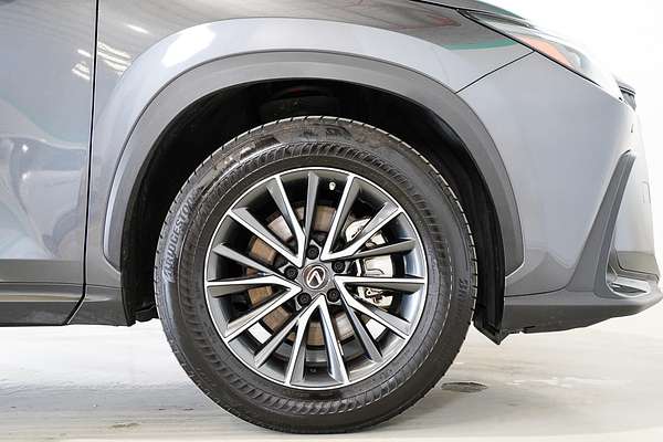2023 Lexus NX NX250 AAZA20R