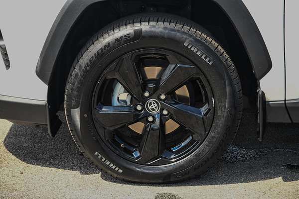 2020 Toyota RAV4 Cruiser AXAH54R