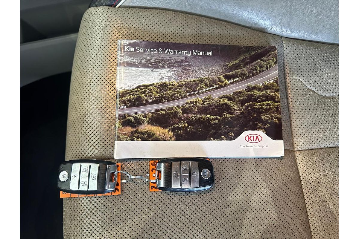 2019 Kia Carnival Platinum YP