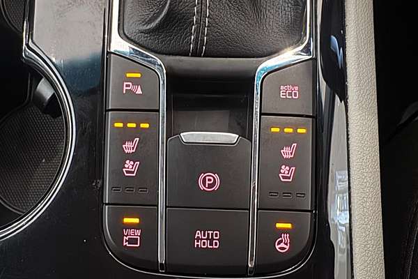 2019 Kia Carnival Platinum YP