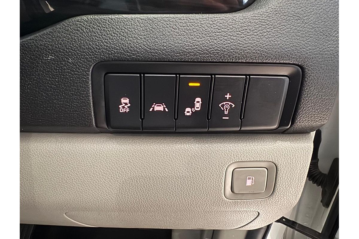 2019 Kia Carnival Platinum YP