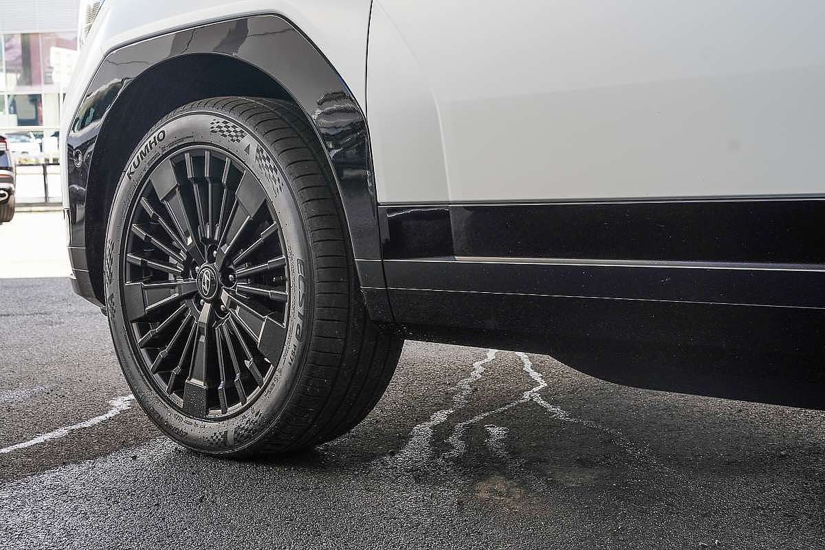 2025 Hyundai Santa Fe Calligraphy MX5.V2