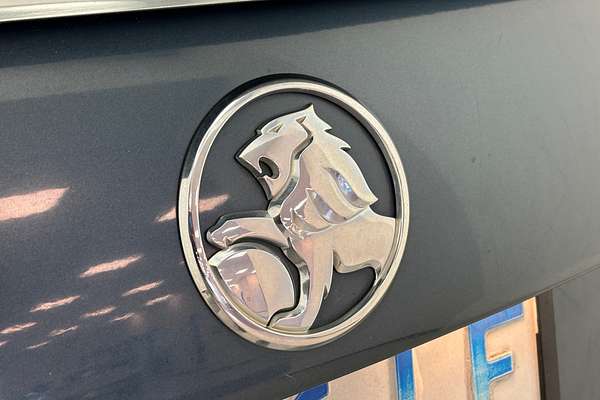 2010 Holden Commodore International VE