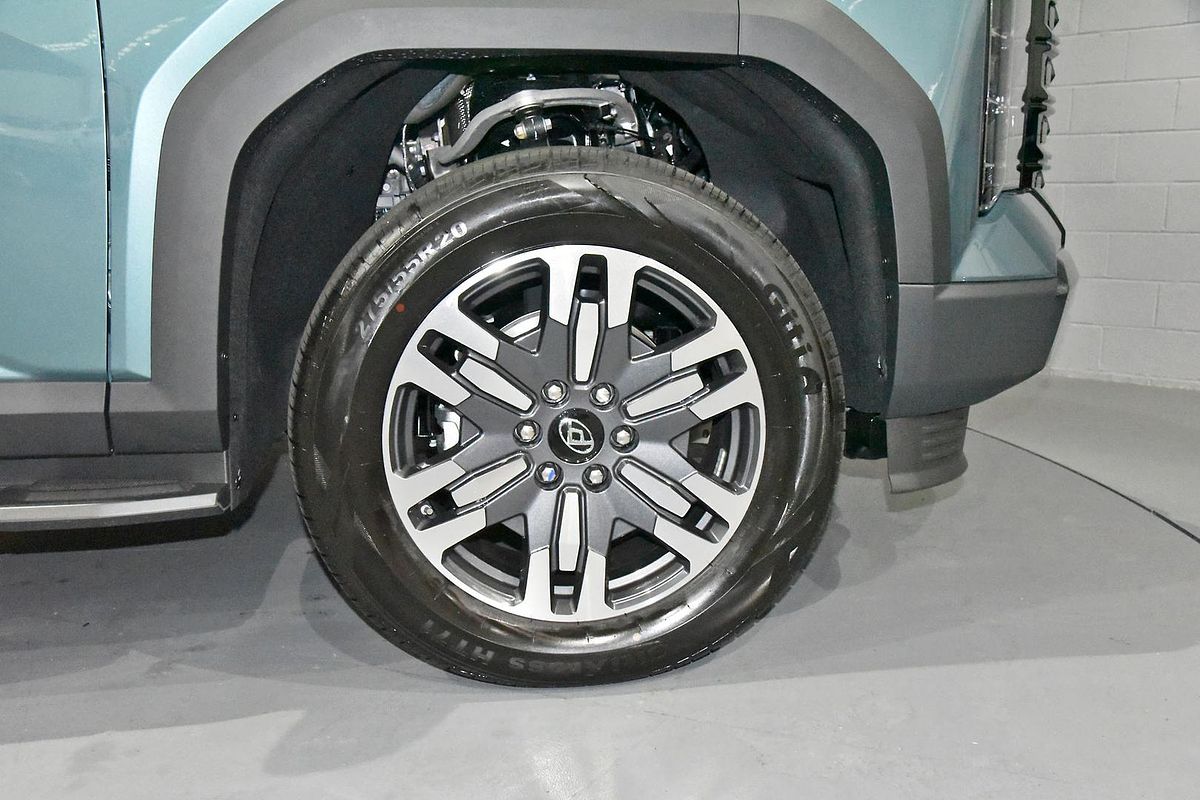 2025 LDV Terron 9 Evolve EKK1C 4X4