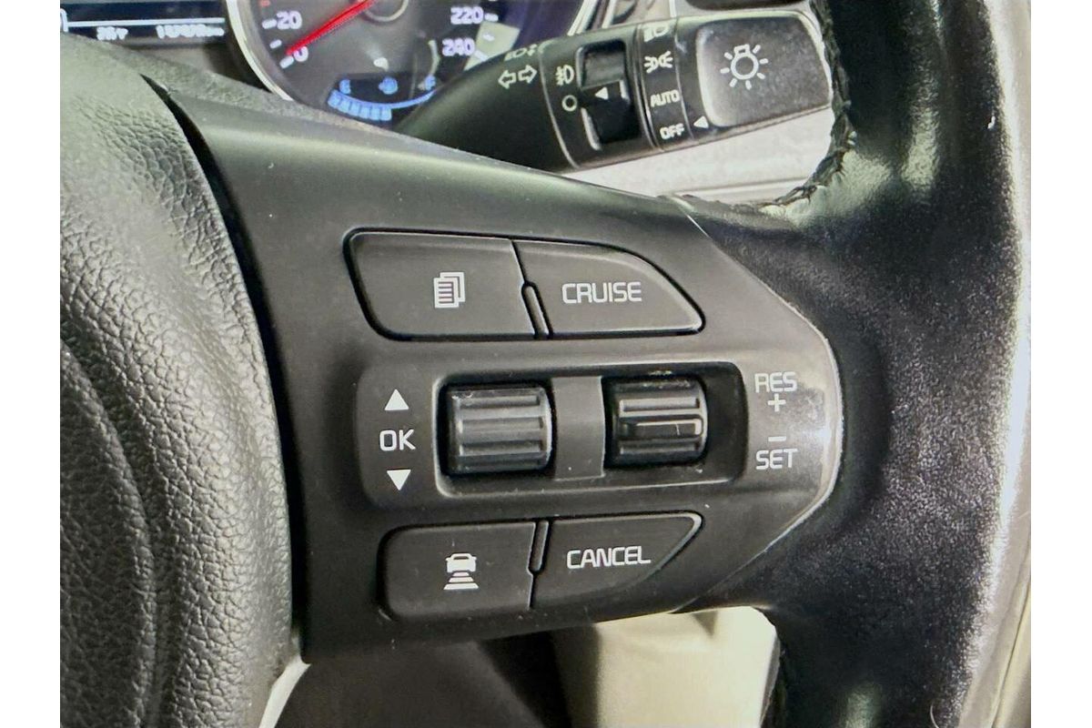 2016 Kia Carnival Platinum YP