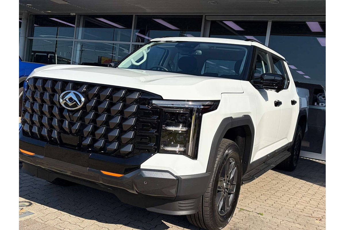 2025 LDV Terron 9 Origin EKK1C 4X4