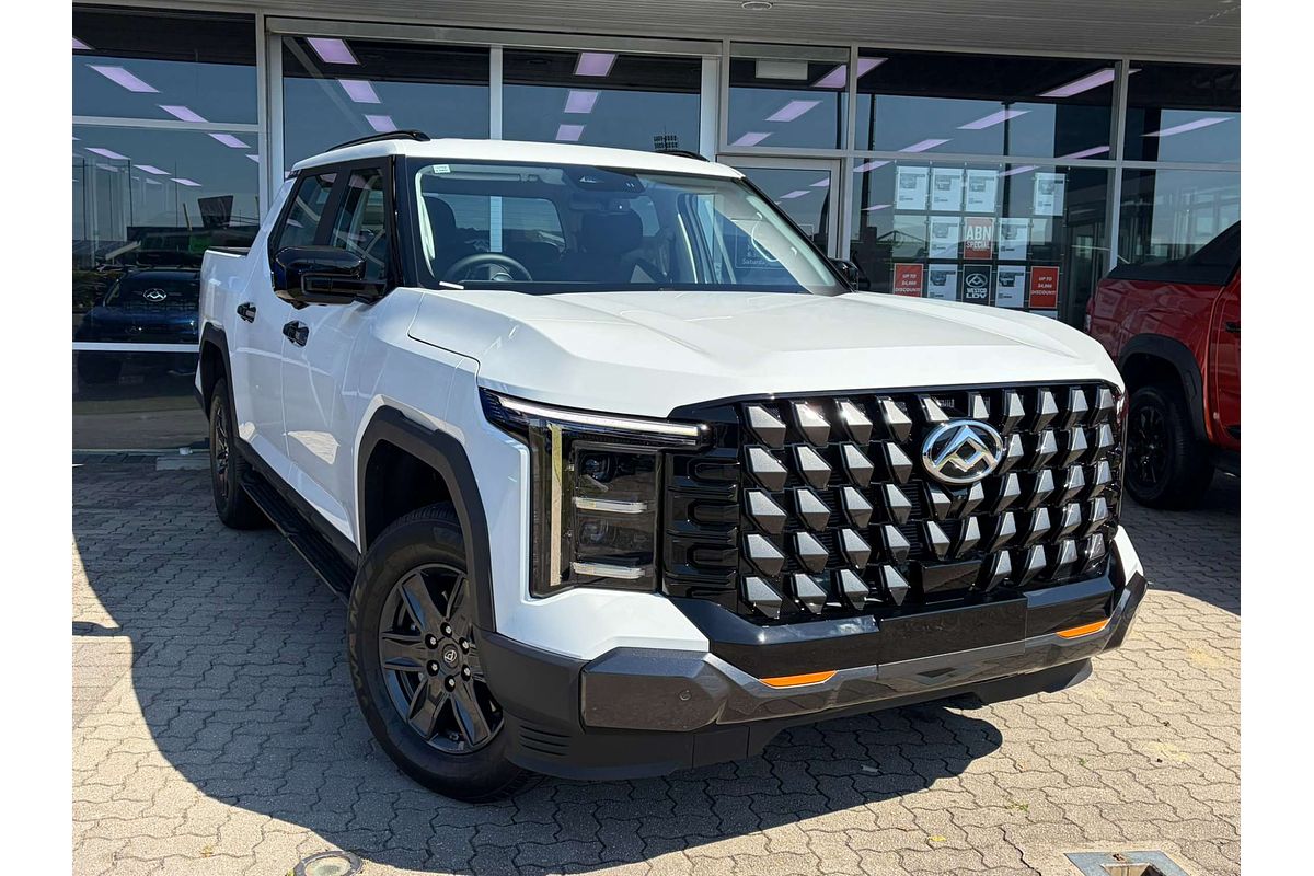 2025 LDV Terron 9 Origin EKK1C 4X4