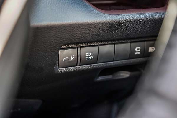 2024 Toyota RAV4 Cruiser AXAH54R