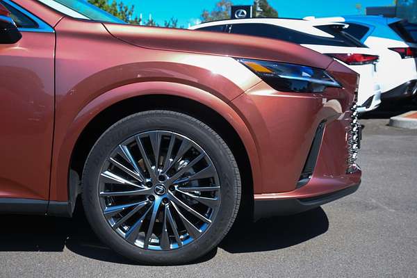 2024 Lexus RX RX350h Sports Luxury AALH15R
