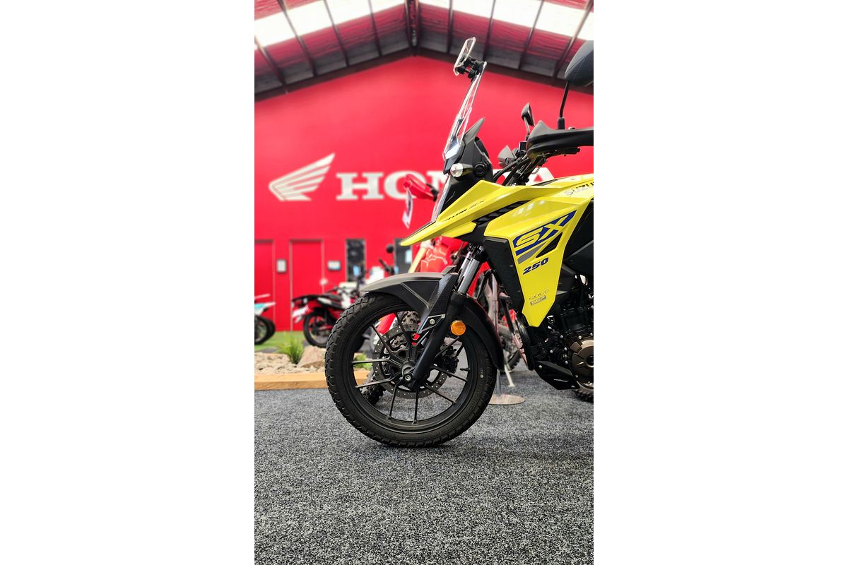 2023 Suzuki DS250 RLM3