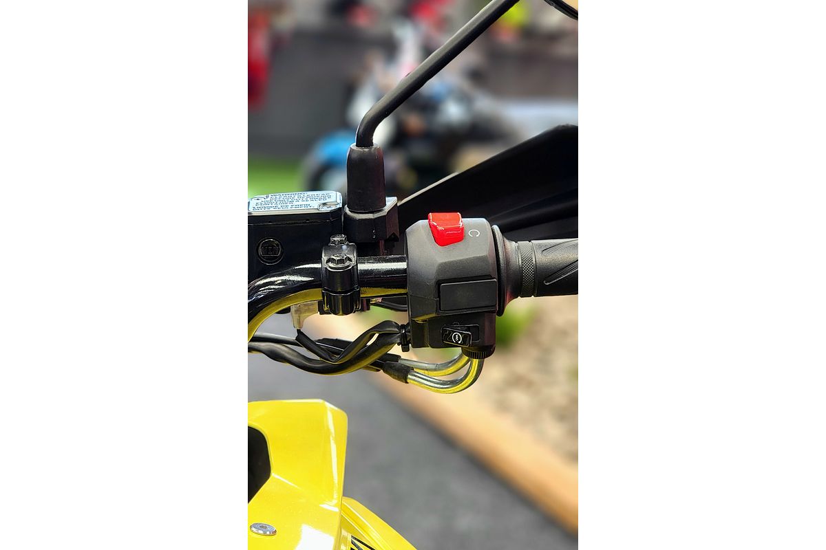 2023 Suzuki DS250 RLM3