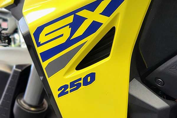 2023 Suzuki DS250 RLM3