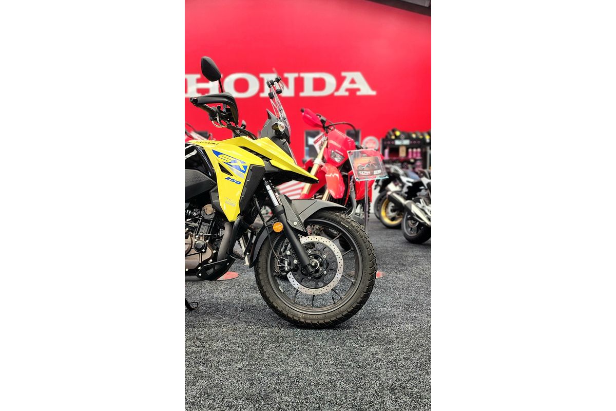 2023 Suzuki DS250 RLM3