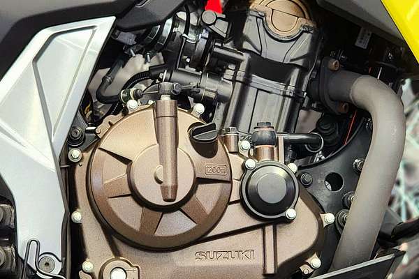 2023 Suzuki DS250 RLM3