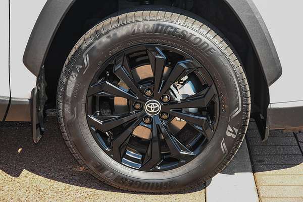 2025 Toyota RAV4 Cruiser AXAH52R