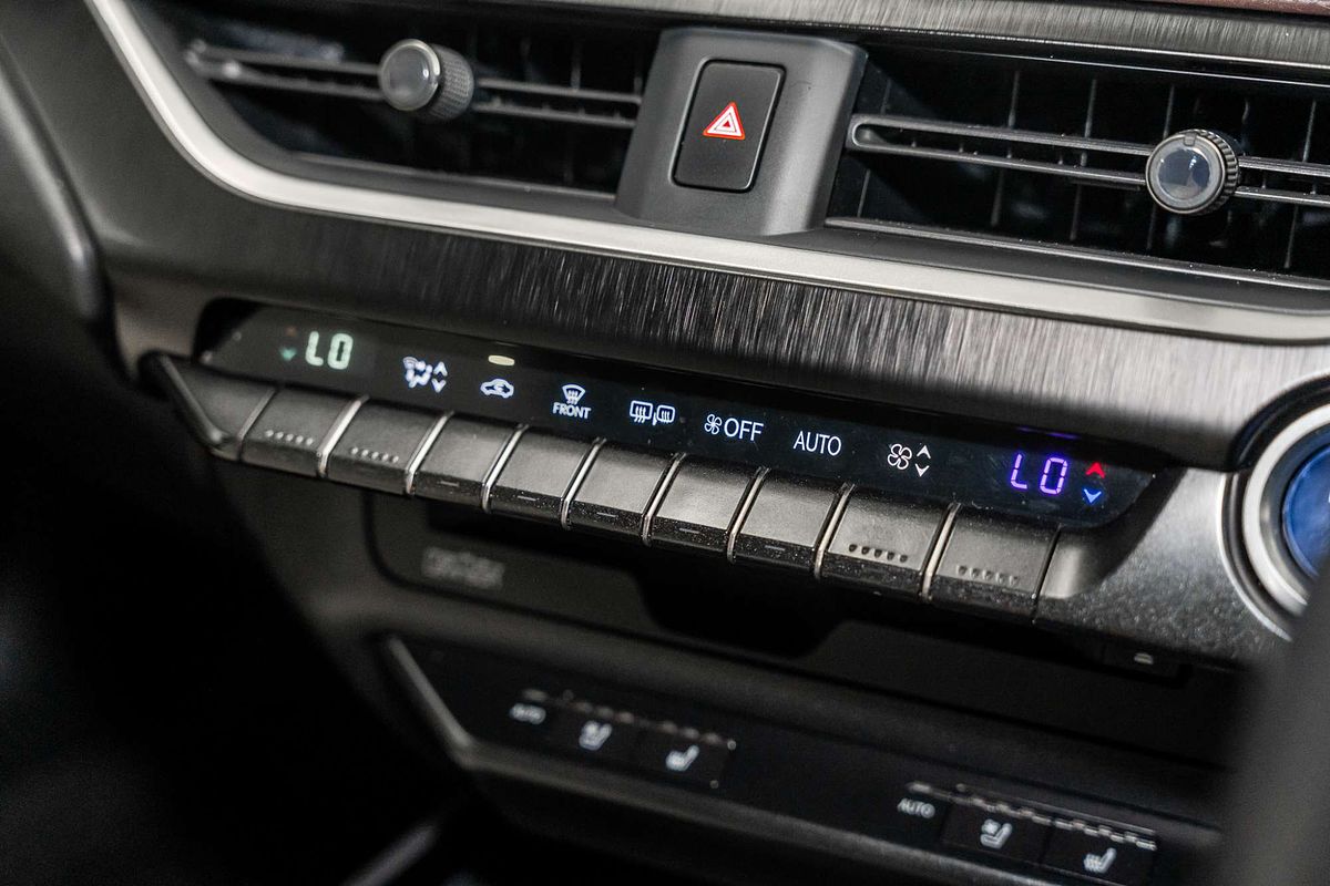 2019 Lexus UX UX250h Sport Luxury MZAH15R