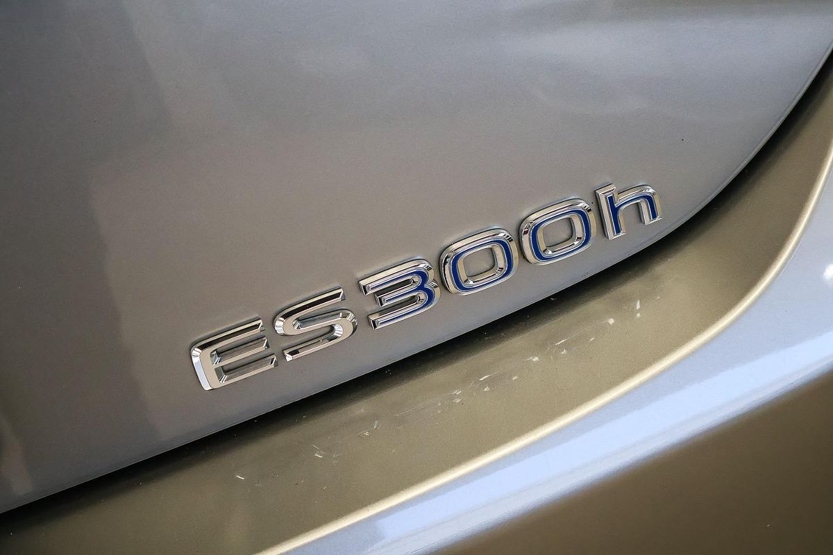 2019 Lexus ES ES300h Luxury AXZH10R