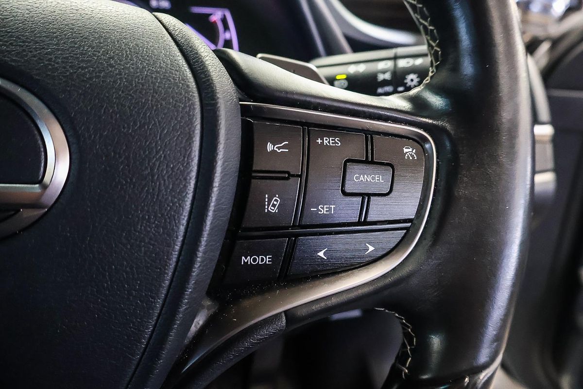 2019 Lexus ES ES300h Luxury AXZH10R