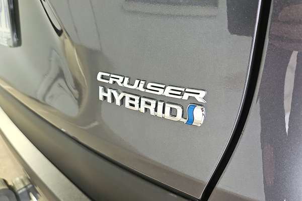 2020 Toyota RAV4 Cruiser AXAH52R