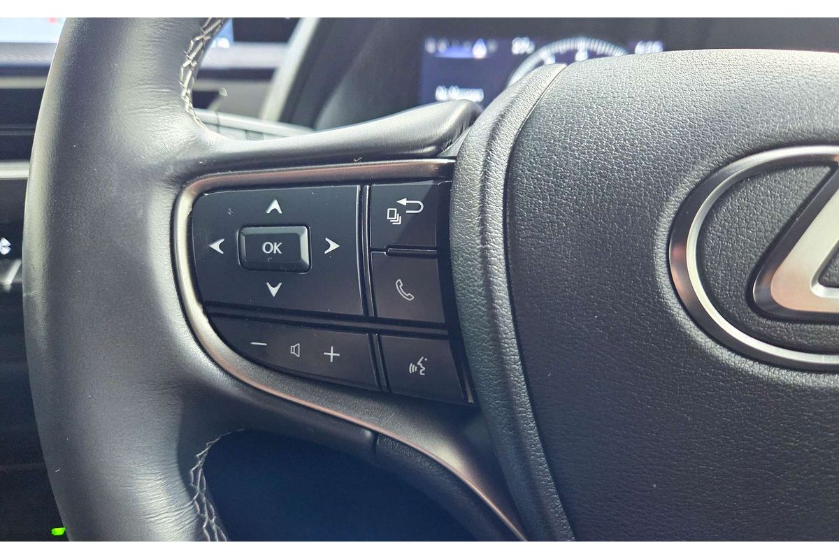 2021 Lexus UX UX200 Luxury MZAA10R