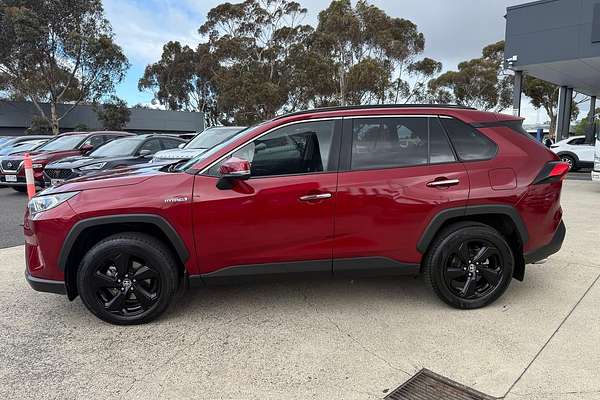 2020 Toyota RAV4 Cruiser AXAH52R