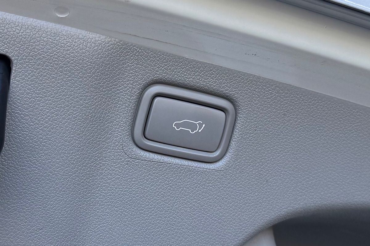 2019 Kia Carnival Platinum YP