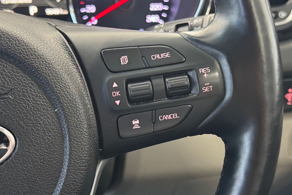 2019 Kia Carnival Platinum YP