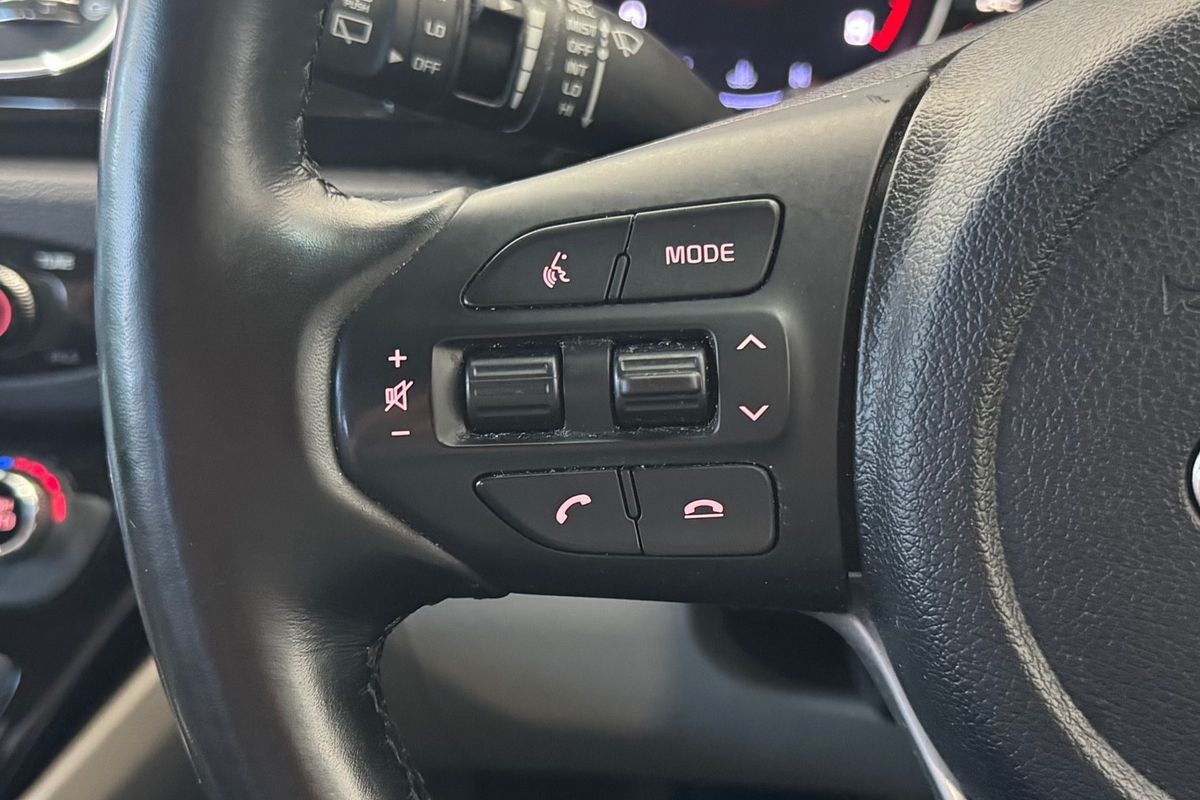 2019 Kia Carnival Platinum YP