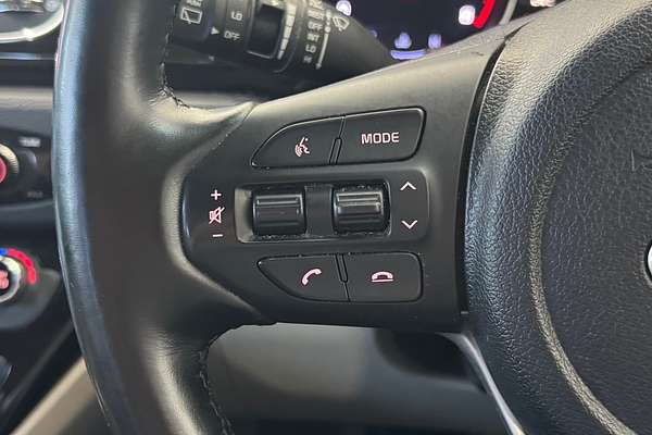 2019 Kia Carnival Platinum YP