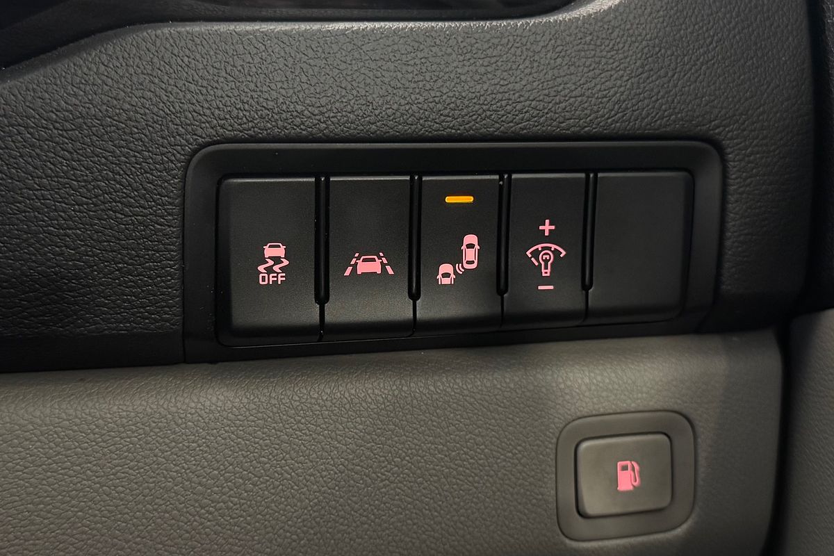 2019 Kia Carnival Platinum YP