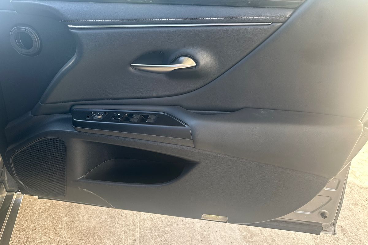 2019 Lexus ES ES300h Luxury AXZH10R