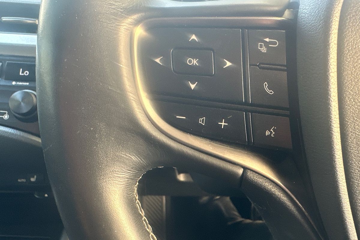 2019 Lexus ES ES300h Luxury AXZH10R