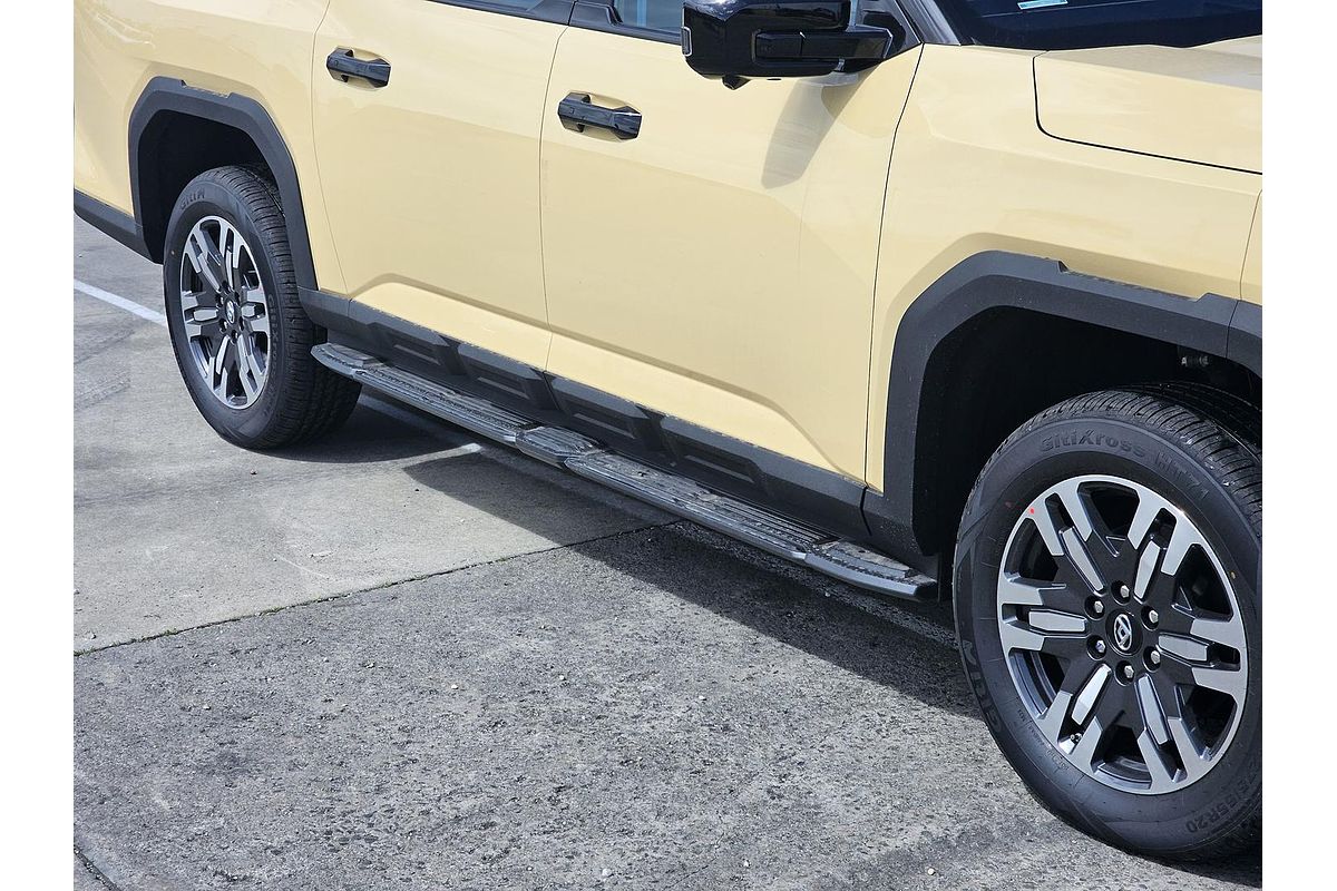 2025 LDV Terron 9 Evolve EKK1C 4X4