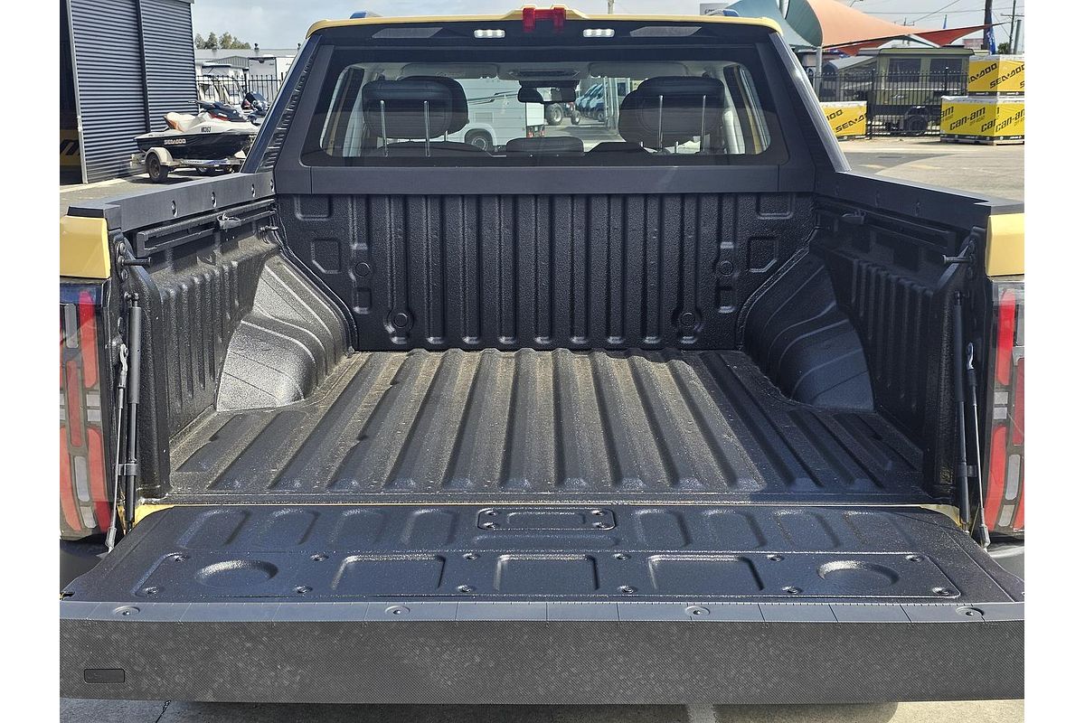 2025 LDV Terron 9 Evolve EKK1C 4X4