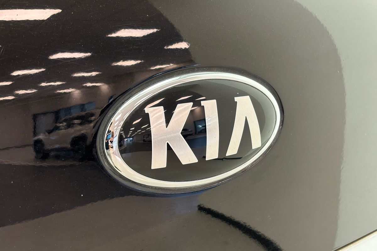 2018 Kia Carnival Platinum YP