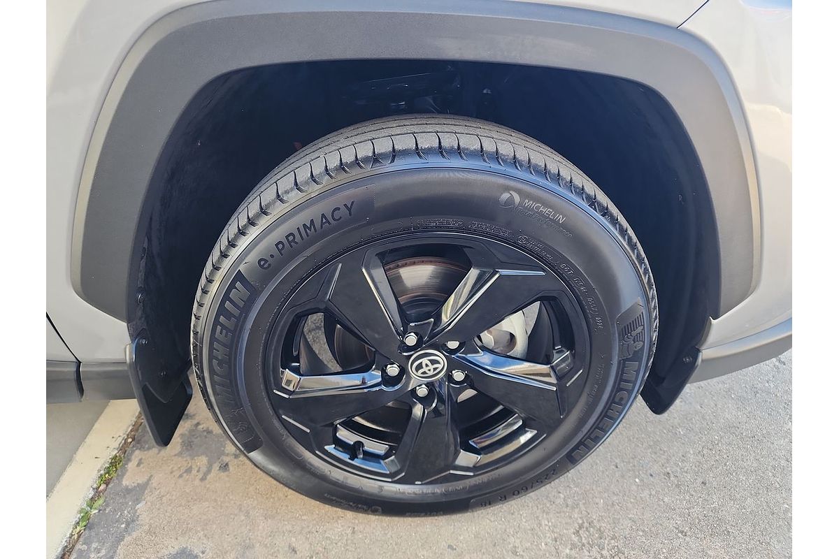 2020 Toyota RAV4 Cruiser AXAH54R