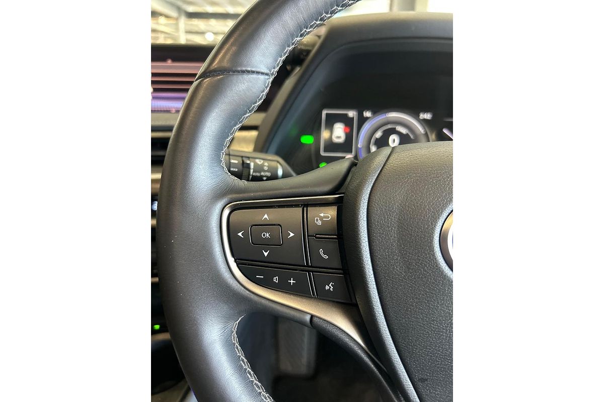 2020 Lexus UX UX250h Sport Luxury MZAH10R