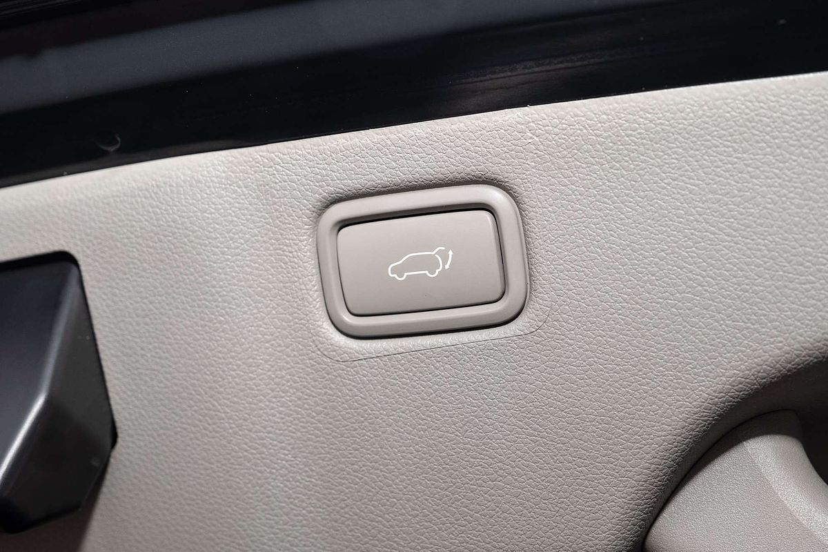 2019 Kia Carnival Platinum YP