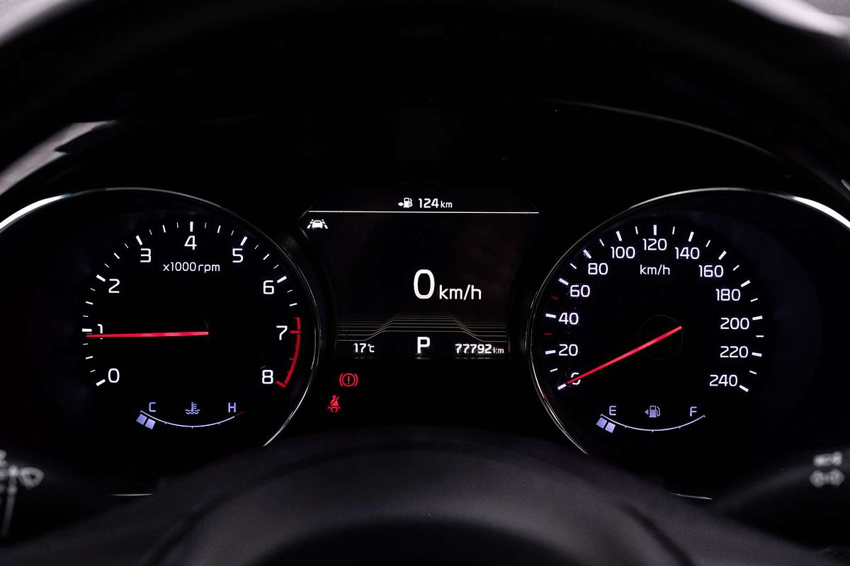 2019 Kia Carnival Platinum YP