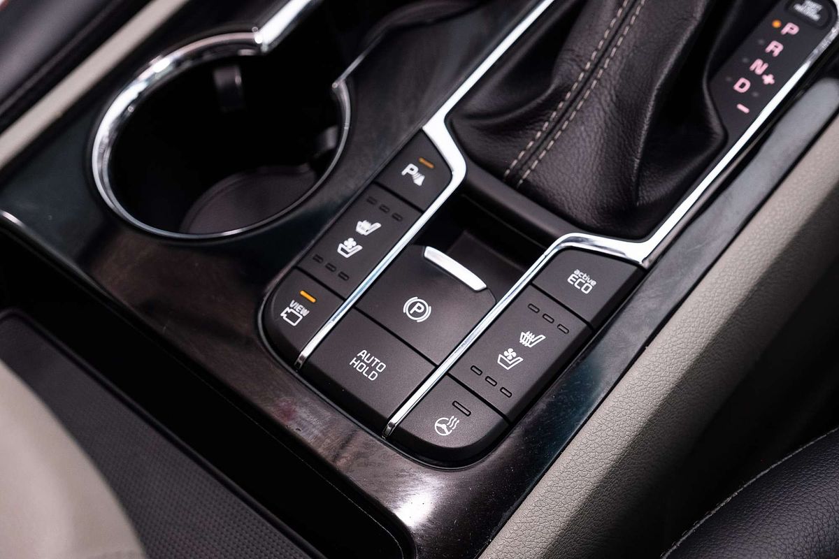2019 Kia Carnival Platinum YP